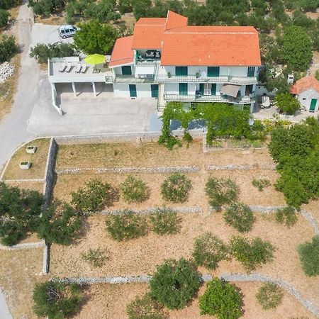Villa Jelena Makarska Dış mekan fotoğraf